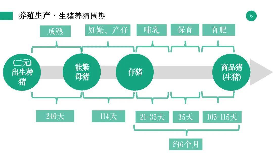 2024新奥正版资料免费提拱,实地评估说明_HDR版57.550