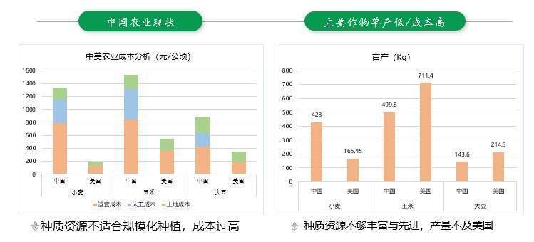 2024新澳资料免费精准051,数据驱动执行方案_2DM94.619