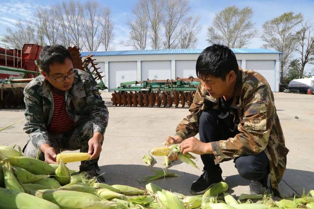 四方台子农场最新动态报道