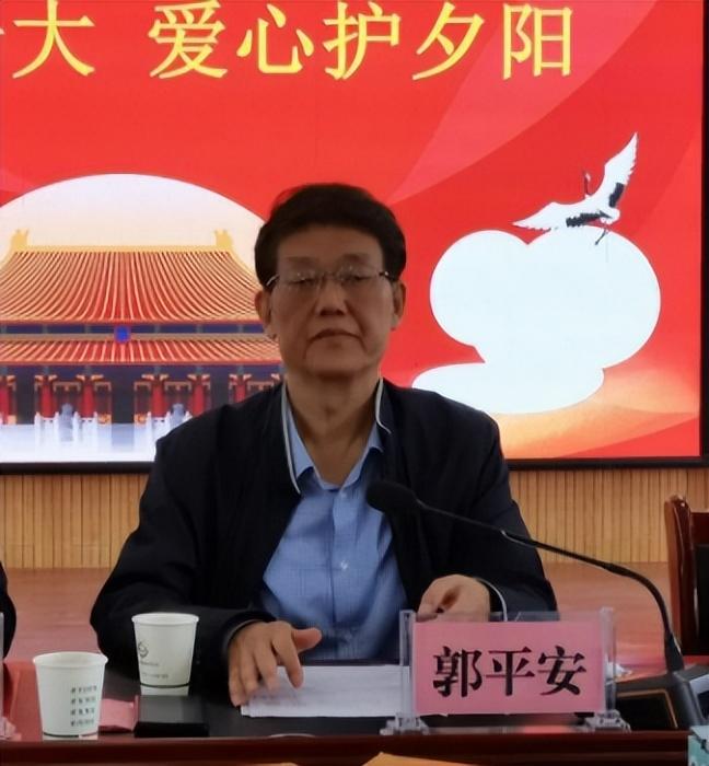 宜君县民政局发展规划，构建和谐社会，推动县域发展助力行动